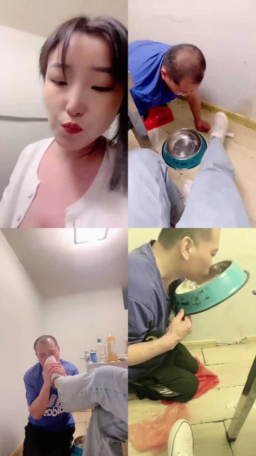 【安可S】圈养生活第四天-户外餐厅脚下喂食【双视角版】