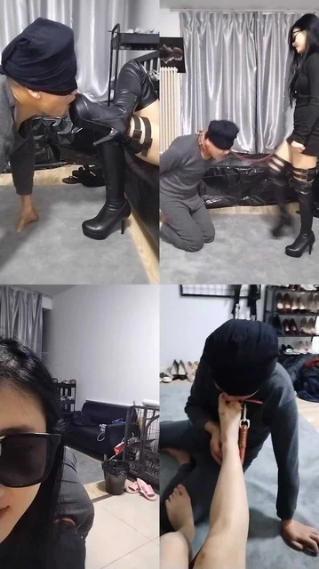 【北京宠儿】狗子听话才有奖励