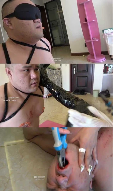 【冷柔】穿刺乳头残忍踩踏,狗嘴拔牙