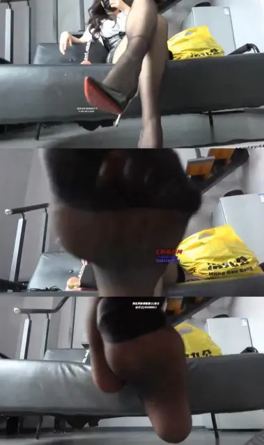 【周一】第一视角老师教育学生狗