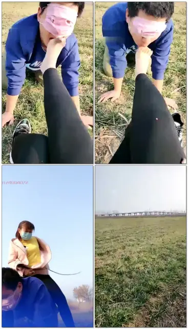 【月月S】野外遛狗，啃麦苗