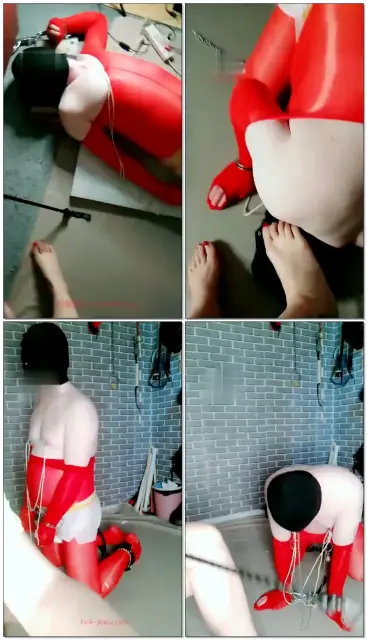 【东营天香百合】倒吊，鼻勾控制，乳环