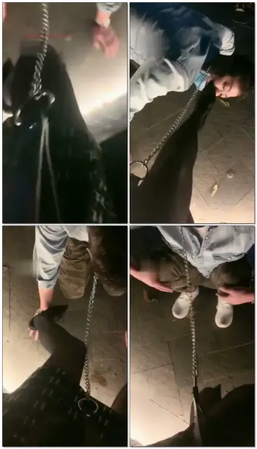 【美唯大小姐】户外遛狗虐前男友