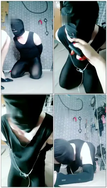 【东营天香百合】贱狗天天来找虐【续集】