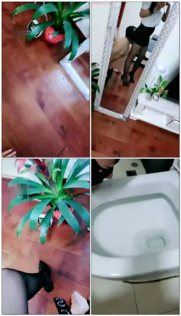 【佳汶】TJ：清理马桶耳光钻胯SP