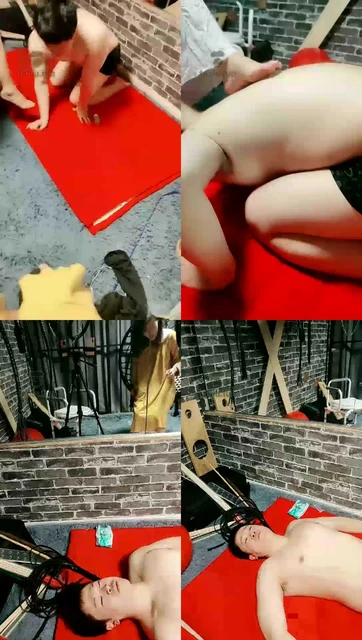 【染染殿下】猫咪殿下首释放我家郭旭