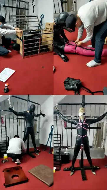 【束之高阁】乳胶狗吃食