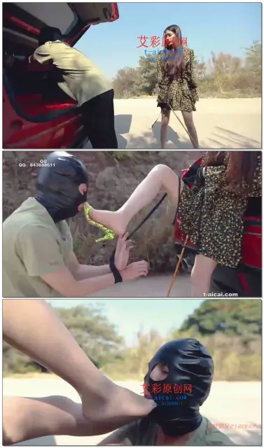 【HPL栖心之栈】—吐槽女司机的下场