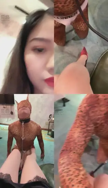 【回眸QUEEN】调教直播我家豹纹狗1 