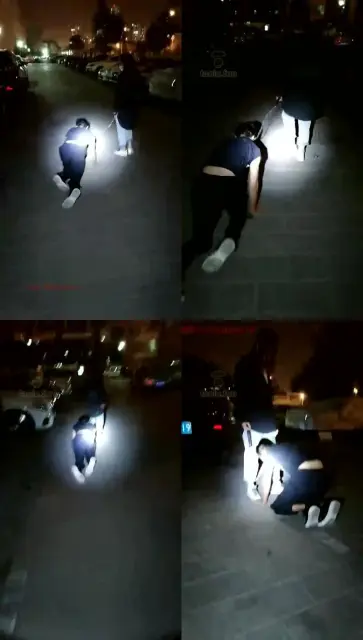 【千羽S】小区遛狗玩