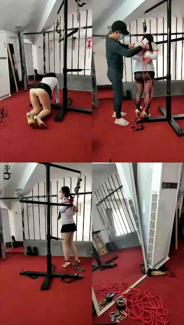 【束之高阁S】双女M教学惩罚