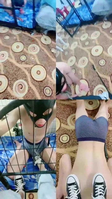 【沈阳的一诺s】贱狗,帆布鞋狗笼调教