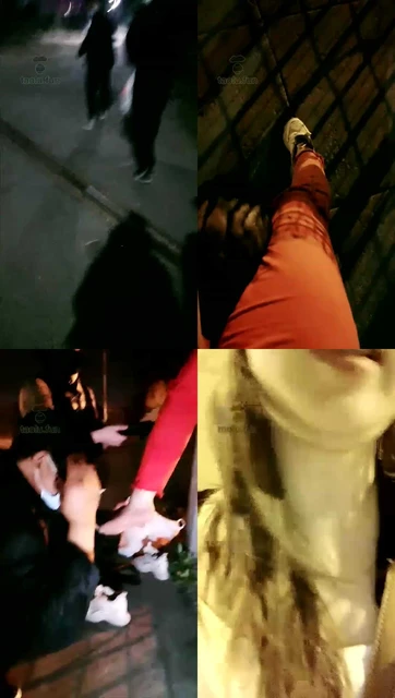 【丝皇女王】俩狗野外掐架