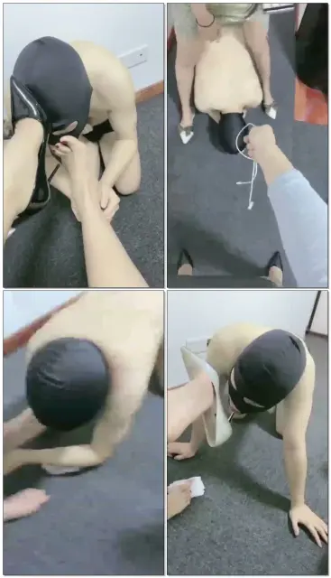 【忆恩】三女王调狗