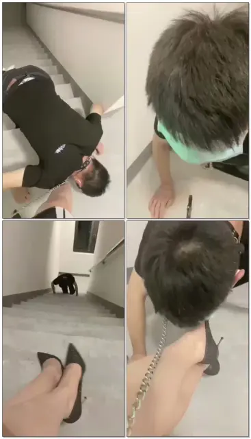 【梦陌情侣S】楼道教训狗，从下往上爬