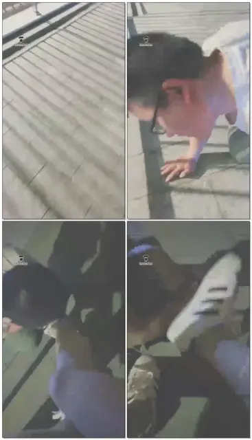 【妖妖女王】户外现场找狗现场收拾