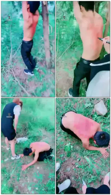 【清墨S】户外野调贱狗，吊虐鞭打