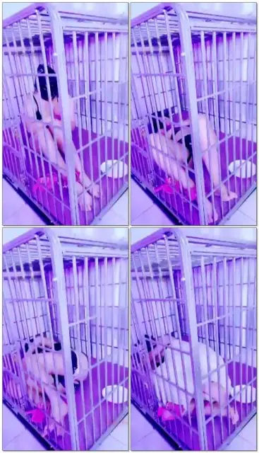 【芳爷S】主人睡觉去骚母狗圈养狗笼