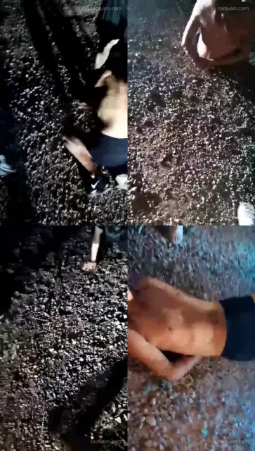 【壹爷S】3S户外随便玩狗