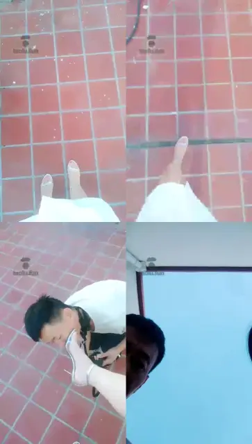 【聊城魅影S】凉高户外遛狗