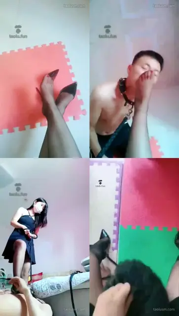 【聊城魅影S】全体重踩踏虐乳，粗口口水圣水骑脖子