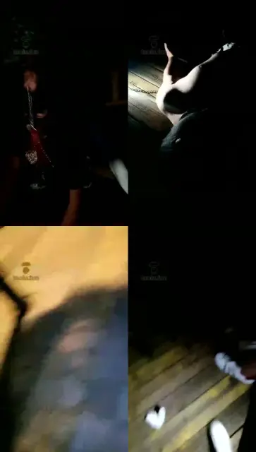 【冷色S】野外玩狗