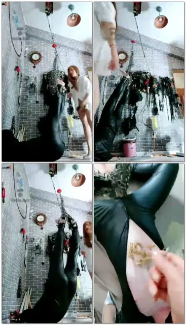 【东营天香百合】吊打各种不服