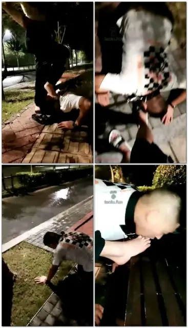 【菜小心S】雨夜遛狗