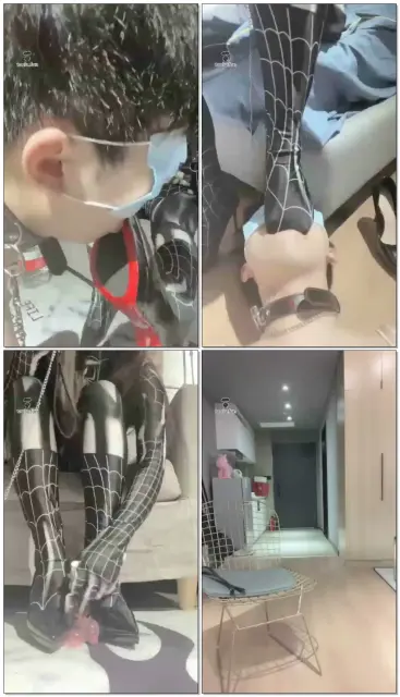 【鹿鹿大人】蜘蛛侠与狗