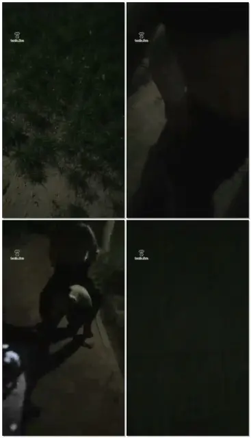 【陌影夫妻S】户外直播调教