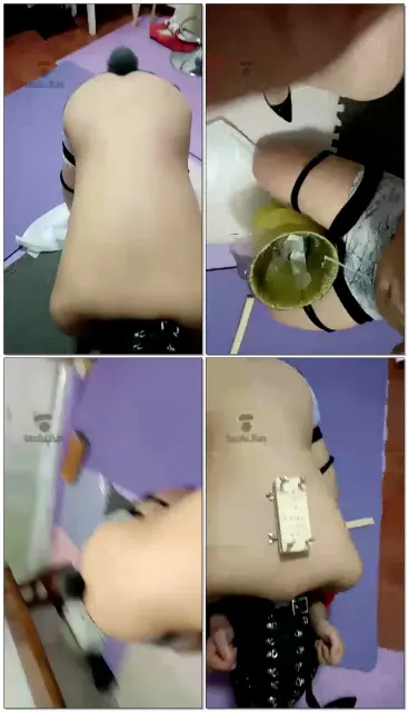 【艳主】训狗奴