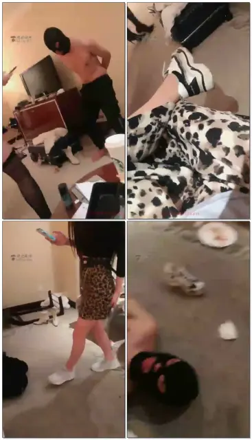 【惠子大小姐】双主踢裆虐狗