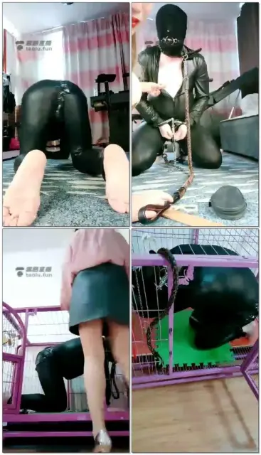 【东营天香百合】贱货，关进笼子里控制