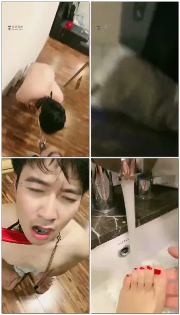 【贵阳冷御大大】第一视角调狗