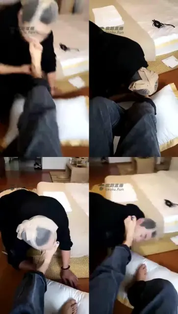 【露西法】新主播与舔脚狗