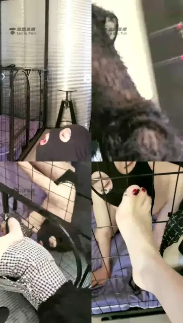 【懋琳】深夜圈养小狗奴