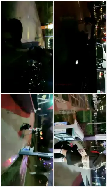 【冷御大大】公园户外遛狗（上）