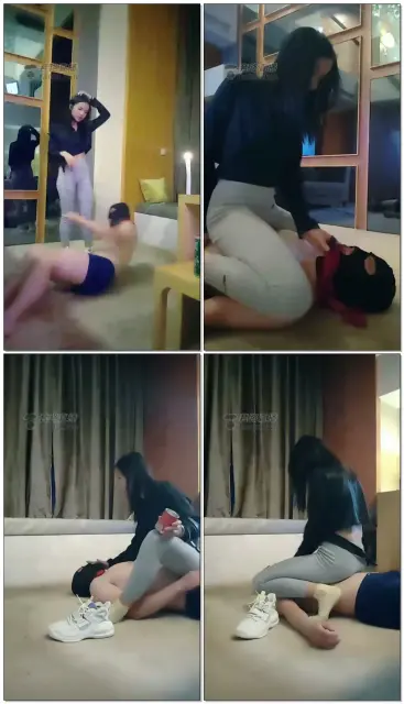 【宇王瑾王】单女主轻度玩第一次上课的狗