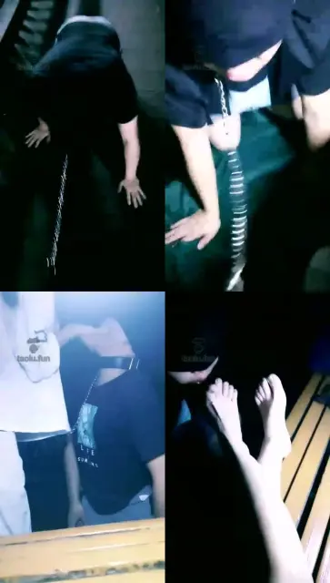 【雅儿主】高清 深夜户外遛狗 51分钟  