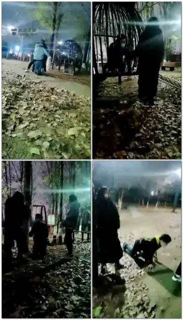 【笨笨狼】户外双主训狗