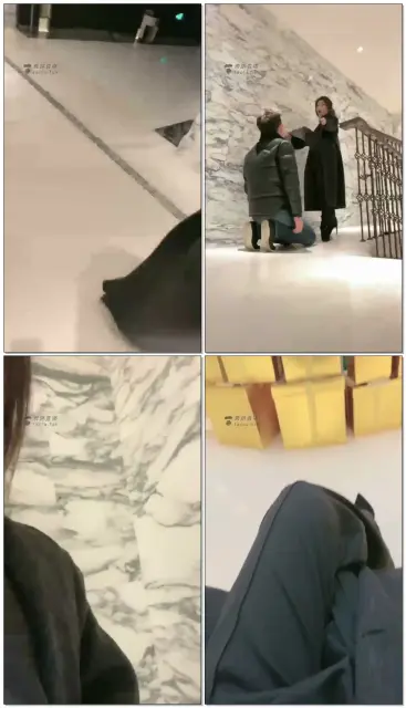 【歌迪丝】商场遛狗,跪行动物