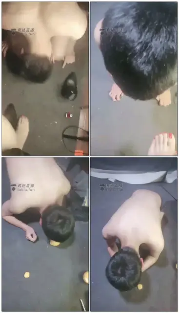 【女攻大大】调教年上小奶狗