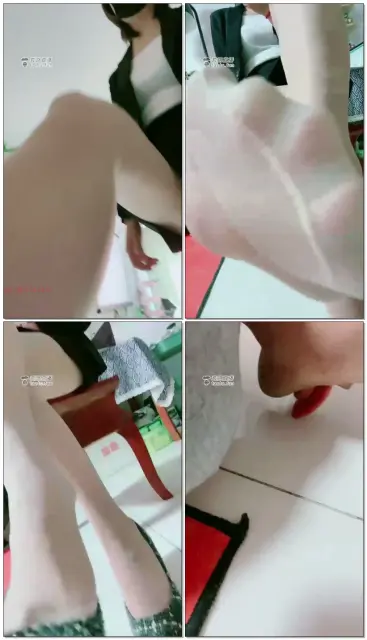 【美离子】(尝试创新)沉浸式狗眼视角