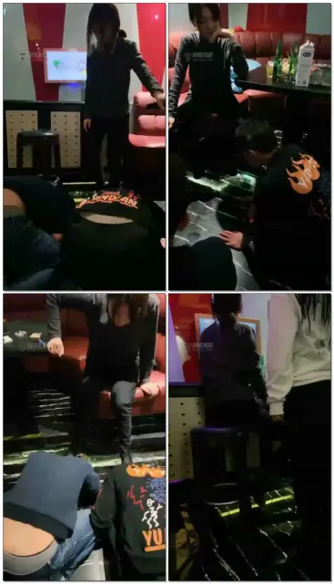 【泽安安】KTV训两条狗