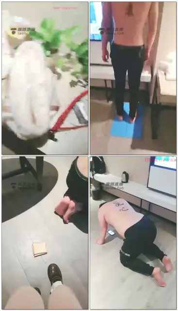 【Vinnie维妮】美主训双狗（上）