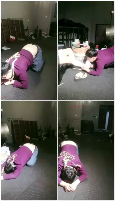 【豆儿大人】随便玩玩狗东西，骑马压迫