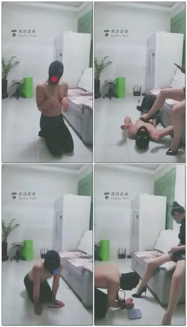 【千寻小主】鞭打,遛狗