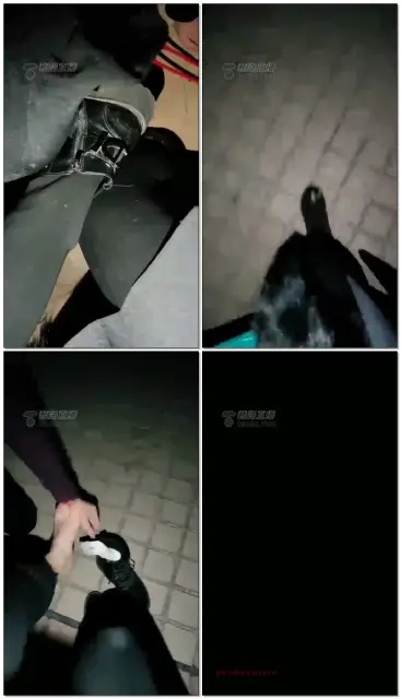 【冷色S】户外遛狗舔脚脚