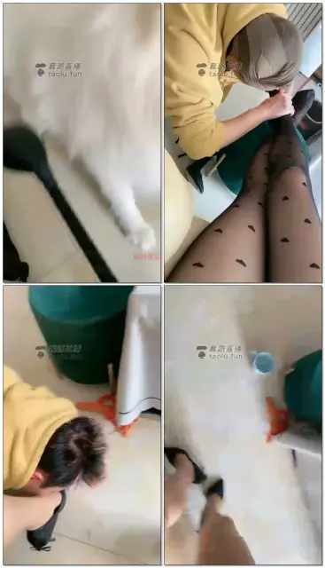 【雨琦S】惩罚狗做家务(续)