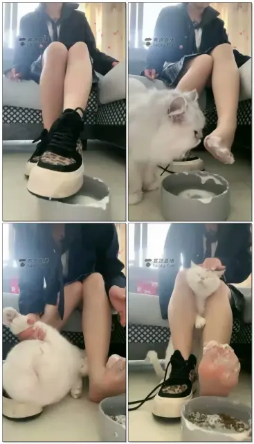 【忽悠小主】第一视角酸奶肉丝各种踩